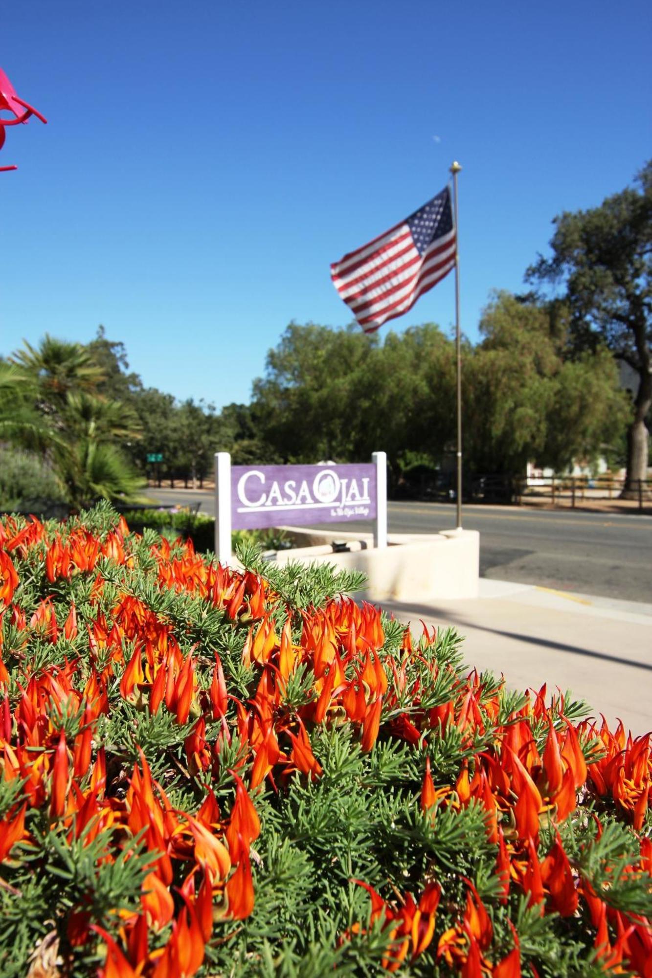 Casa Ojai Inn Bagian luar foto