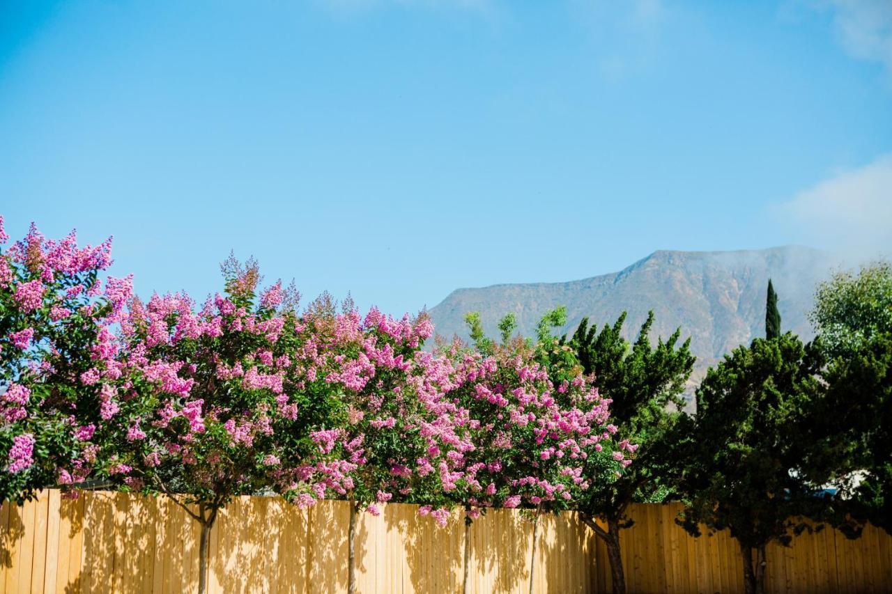 Casa Ojai Inn Bagian luar foto